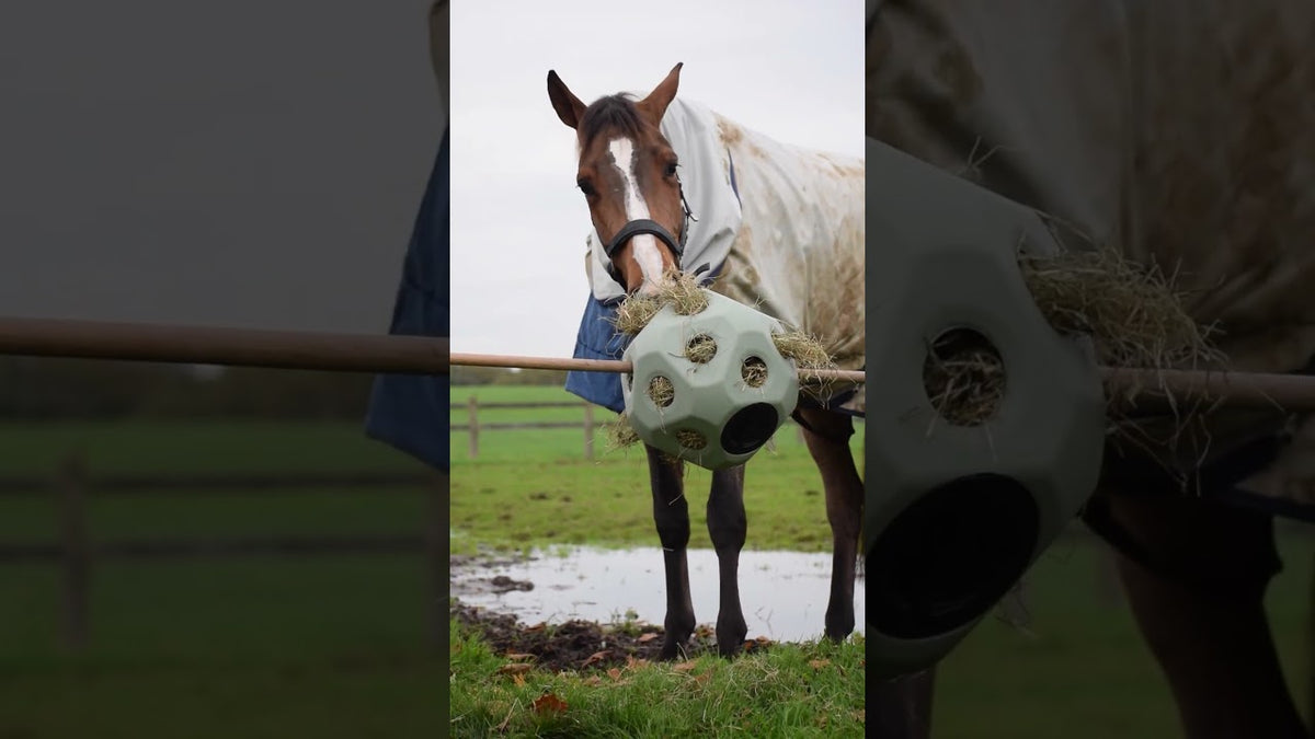 Excellent Horse Feed & Play Ball Blauw 3