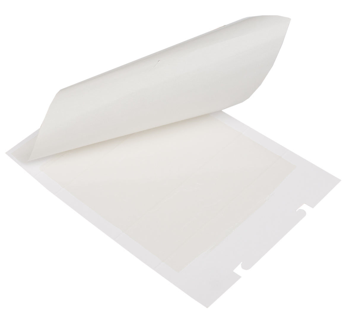 Zapi Zap Trap lijmval voor muizen en insecten 15x21cm  2