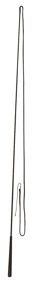 Longeerzweep 180cm 