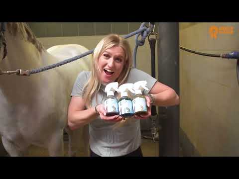 Package Deal Paardenpraat TV  2