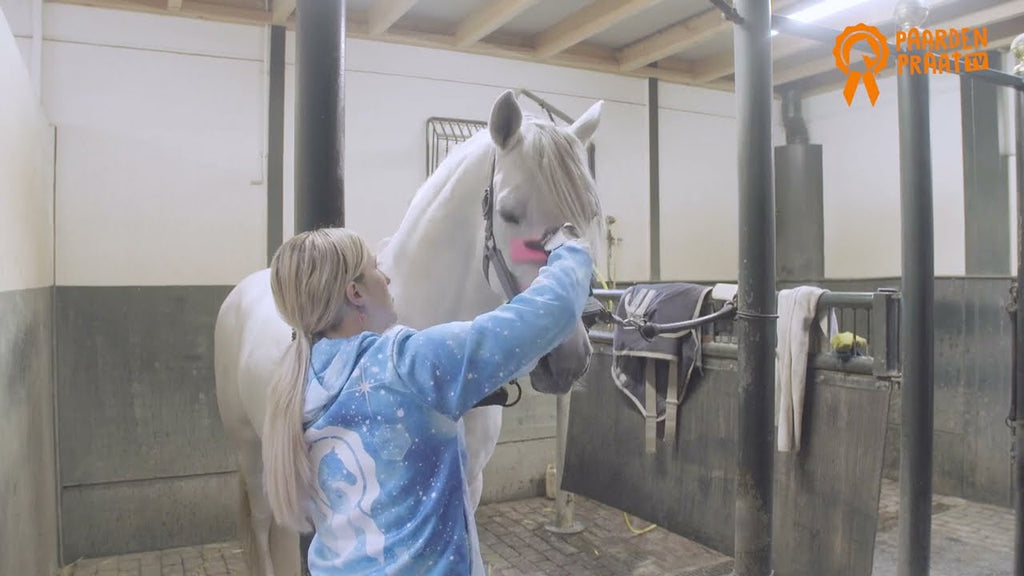 Paardenpraat Grooming Brush Roze M 2