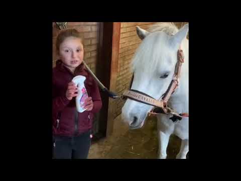 Lucky Horse Unicorn Knuffel Spray  2