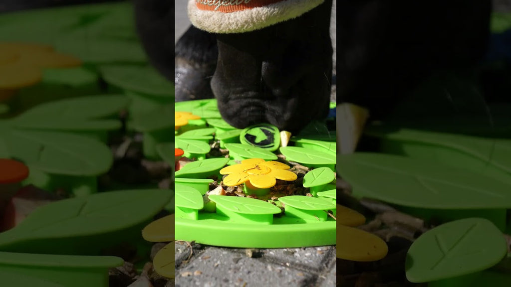 Excellent Horse Snuffle Mat Flower Power  6