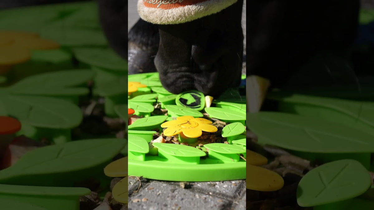 Excellent Horse Snuffle Mat Flower Power  6
