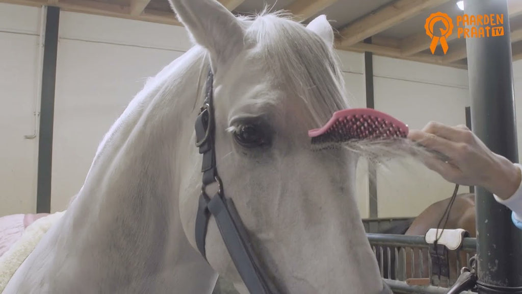 Paardenpraat Horse Supreme Borstel Roze 2