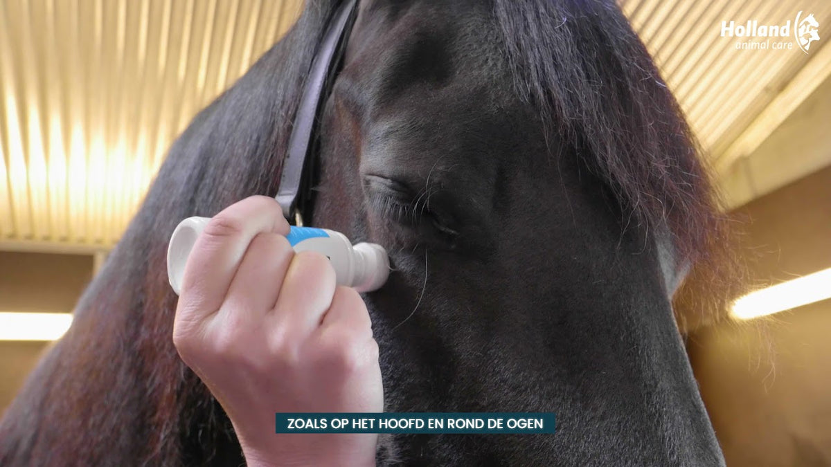 Excellent Horse Shield Spons-On 75 g NL/FR 2